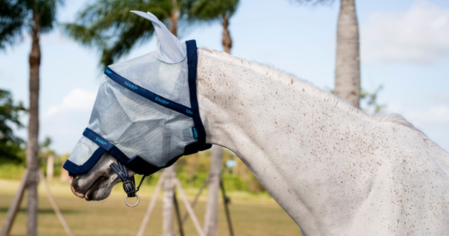 MASQUE ANTI-MOUCHE CHEVAL
