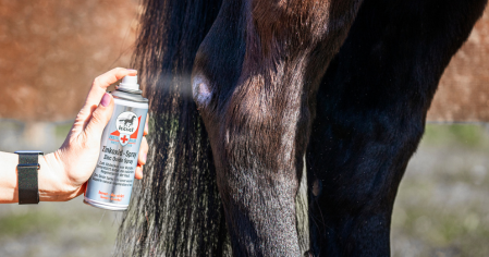 Soins peau cheval