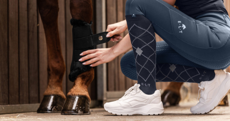 Protection du cheval