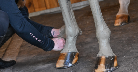 Soins tendons cheval