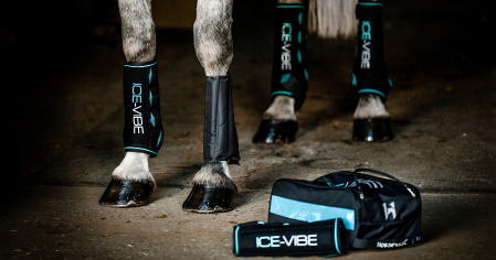 Thérapeutique cheval