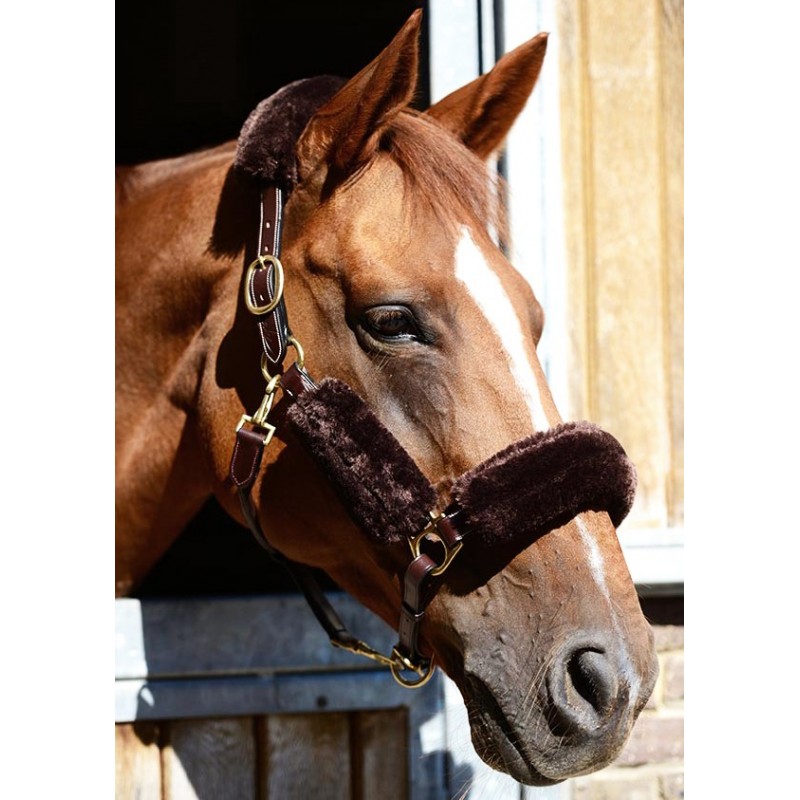 Fourreaux de licol cheval set 4 pièces - Kentucky Horsewear