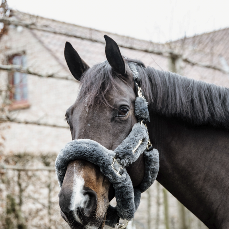 Licol cheval doublé mouton synthétique - Kentucky Horsewear