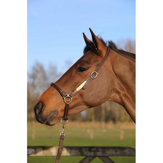 Licol de pansage cheval simili-cuir - Kentucky Horsewear