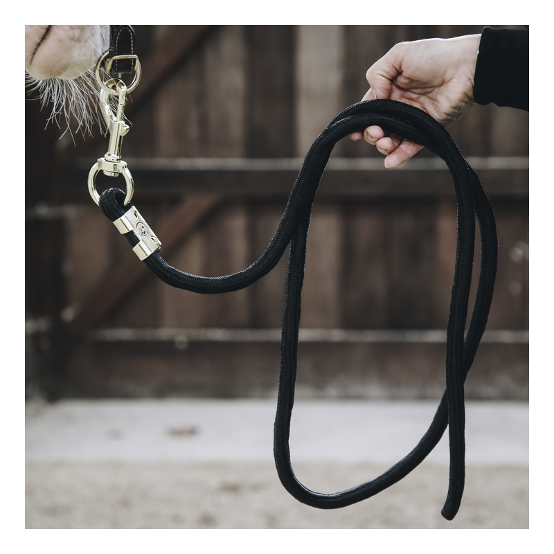 Longe cheval nylon tressé 2 m Basic - Kentucky Horsewear - KENTUCKY  HORSEWEAR - Longes d'attache - Equestra