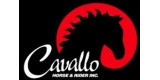 CAVALLO Horse 