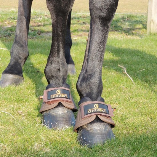Protège-glomes cheval D3O Solimbra Kentucky Horsewear - Equestra